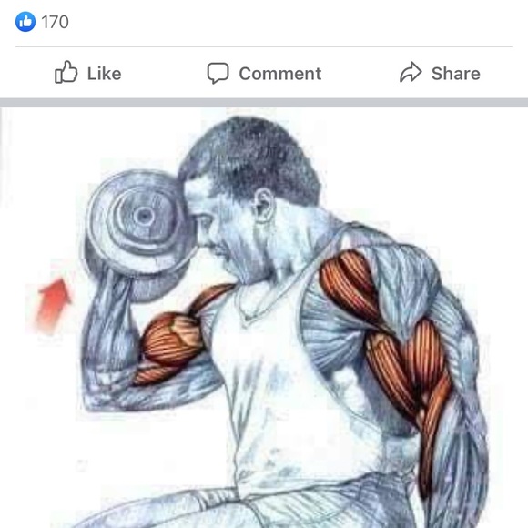 Meet your Posher, Fritz - Picture 1 of 1